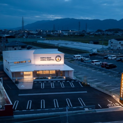 koryoozakiAHP (4)