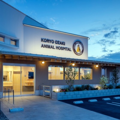 koryoozakiAHP (7)