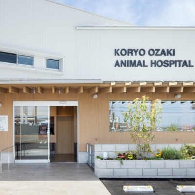 koryoozakiAHP (8)